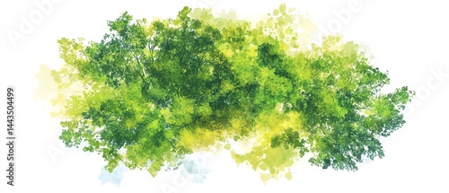 Vector of abstract watercolor tree top view isolated on white background  for landscape plan and architecture layout drawing