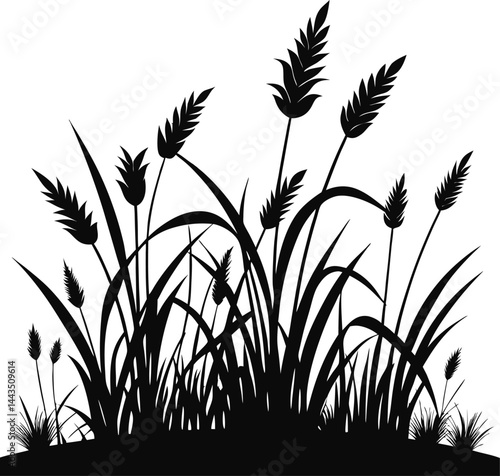 beautiful grass sketch silhouette