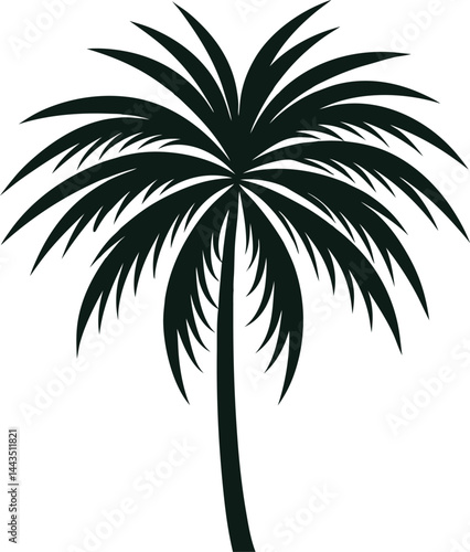 a palm tree leaf silhouette vector 
