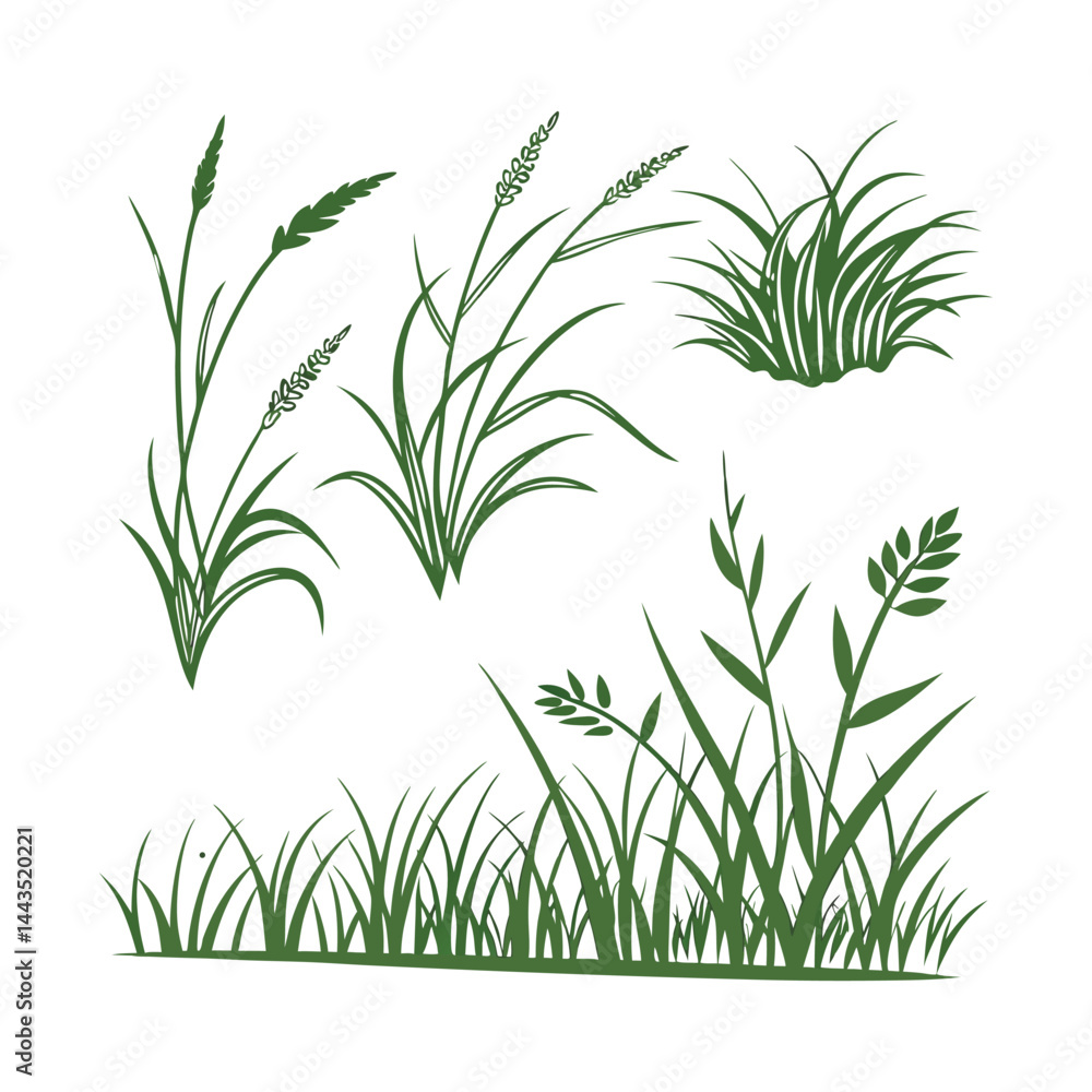 Obraz premium Set of 5 green grass illustrations vector