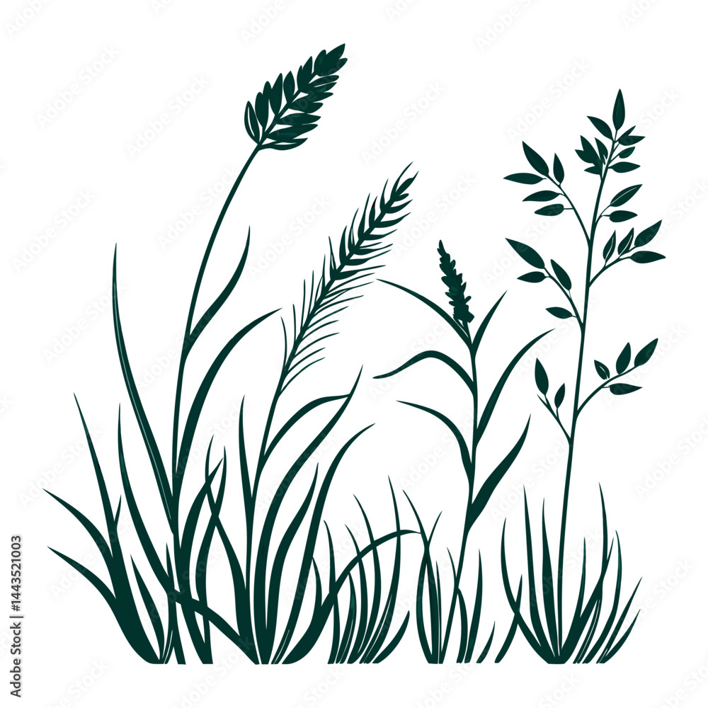 Obraz premium Dark green grass and wheat illustration