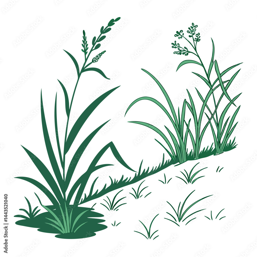 Obraz premium Green grass and weeds illustration