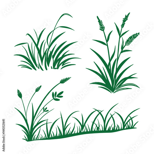 Set of green grass and wheat illustrations