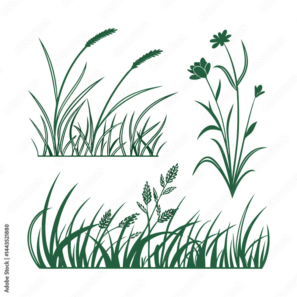 Fototapeta premium Set of 3 grass and wildflower illustrations vector