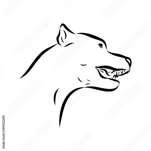 Argentine Great Dane vector sketch beautiful Great Dane line art images