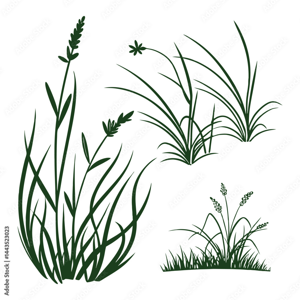 Fototapeta premium Set of 3 green grass illustrations vector
