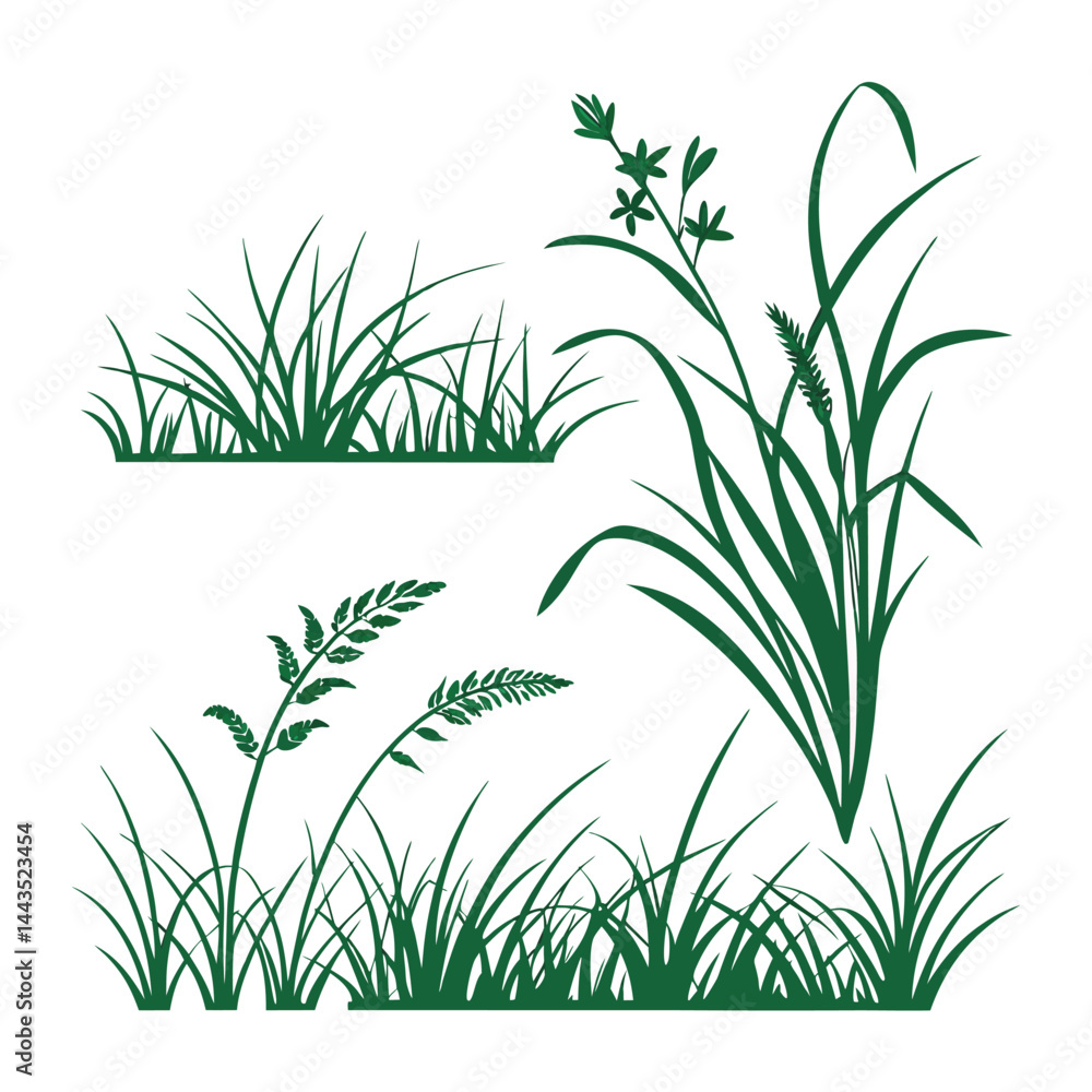 Obraz premium Green grass and weed silhouettes set