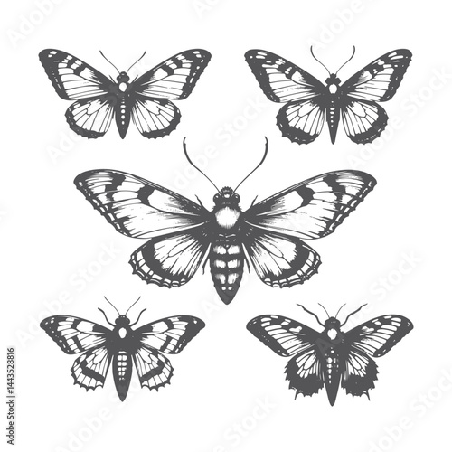 Colorful collection of butterflies with yellow wings flying in nature, isolated in a beautiful spring setting, showcasing various species like swallowtails and moths