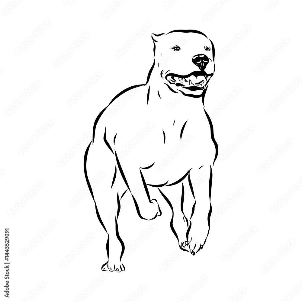 Fototapeta premium Argentine Great Dane vector sketch beautiful Great Dane line art images