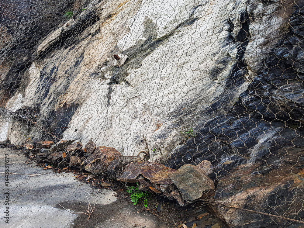 A network of chicken wire secures a rocky cliffside near a roadway, showcasing erosion control methods. The scene features natural rock formations and surrounding vegetation