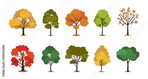 Set of different trees. Organic stickers with pine trees, autumn oak trees with falling leaves and lush green plants. Forest and Woodland. Flat vector illustration collection