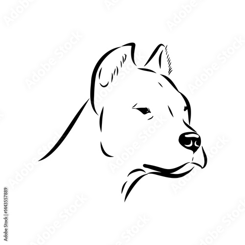 Argentine Great Dane vector sketch beautiful Great Dane line art images