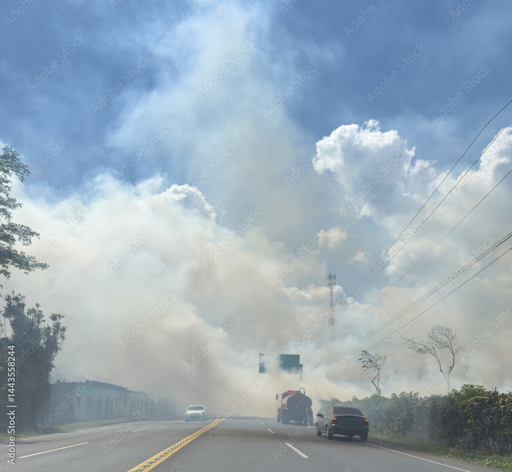 Wildfire near highway road