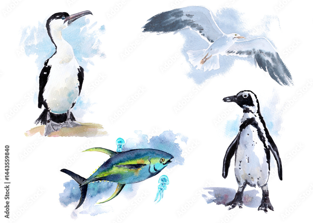 Naklejka premium The animal world of the seas and oceans. A set of watercolor illustrations