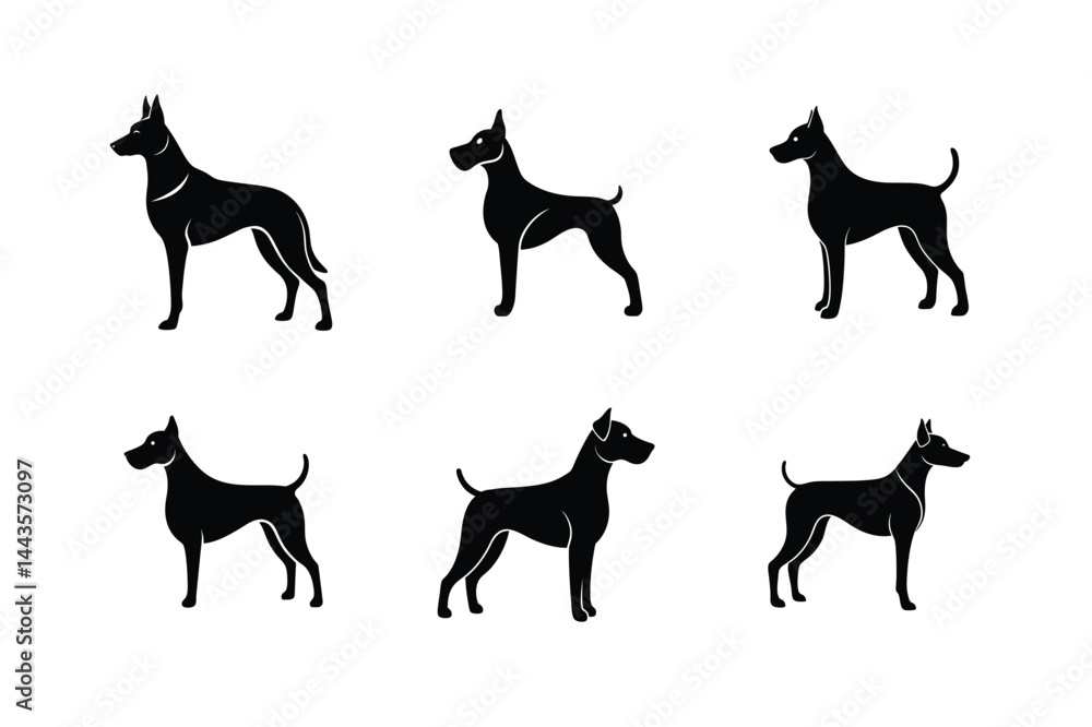 Black Labrador Retriever Dog Breed Vector Bold 26 Black Labrador Retriever Dog Breed Vector Bold 26