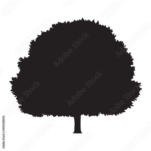 Dense foliage tree silhouette vector with full rounded crown. Black tree silhouette.