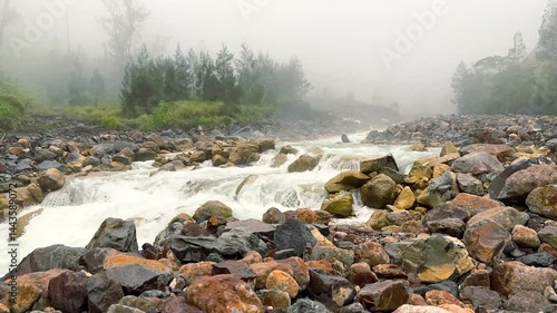 River stream waterfall in forest landscape