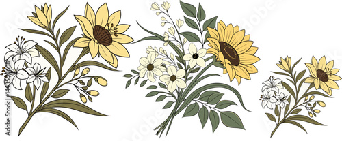 The common sunflower has a green erect stem covered in coarse hairs, growing on average around 2m tall. The leaves are broad, with serrated edges, and are alternately arranged on the stem.