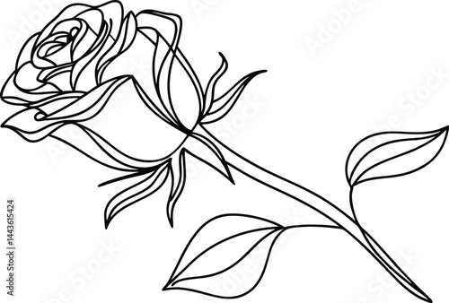 Elegant Rose Blossom Outlined Illustration For Fashion Decor And Creative Designs