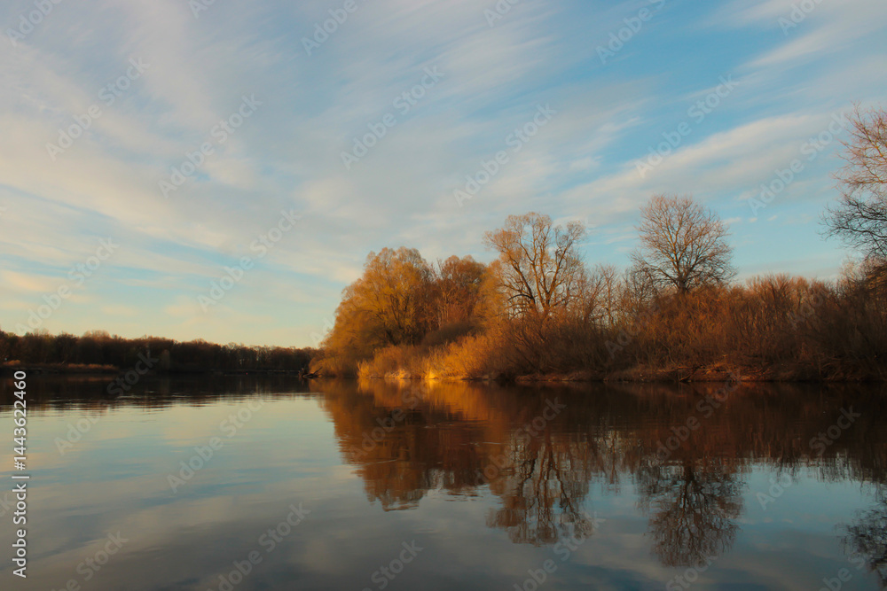 Fototapeta premium trees reflected in water