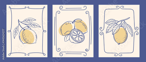 Set of hand drawn lemon posters. Set of botanical art prints with lemons. Ink sketch. Vintage Italian summer illustrations for cafe or restaurant menu.