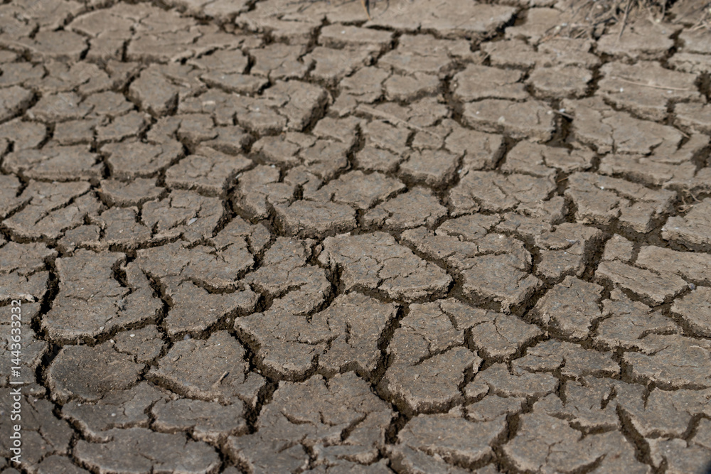 Cracked Earth surface depicting drought and arid natural conditions