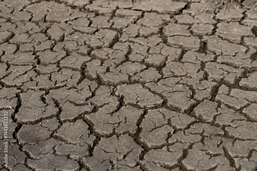 Obraz na płótnie Cracked Earth surface depicting drought and arid natural conditions w salonie