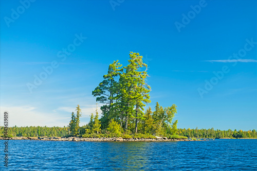 Obraz na płótnie Giant White Pines Growing on a Tiny Island w salonie