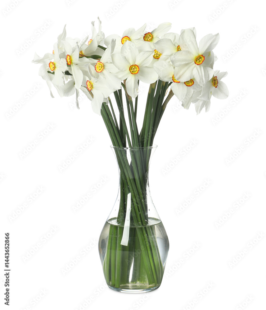Beautiful daffodils in vase isolated on white Beautiful daffodils in vase isolated on white