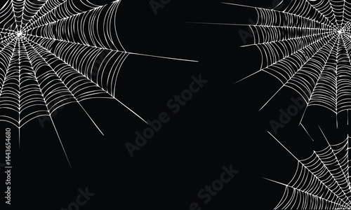 Shadowy Cobweb Vector Graphic Design