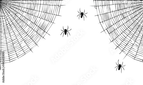 Eerie Silk Web Vector Graphic Art