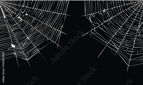 Menacing Cobweb Vector Design Art