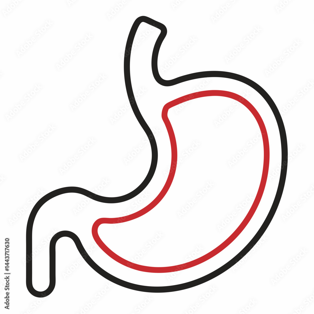 Minimalistic vector illustration of a human stomach in outline style, featuring black and red contour lines on a white background. Medical and anatomical icon.
Minimalistic vector illustration of a human stomach in outline style, featuring black and red contour lines on a white background. Medical and anatomical icon.