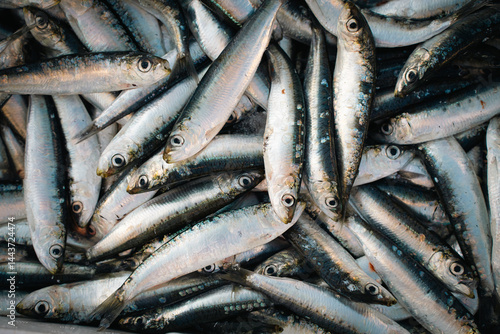 sardines fish on the market