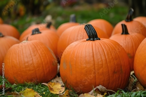 Pumpkins. AI generated illustration.