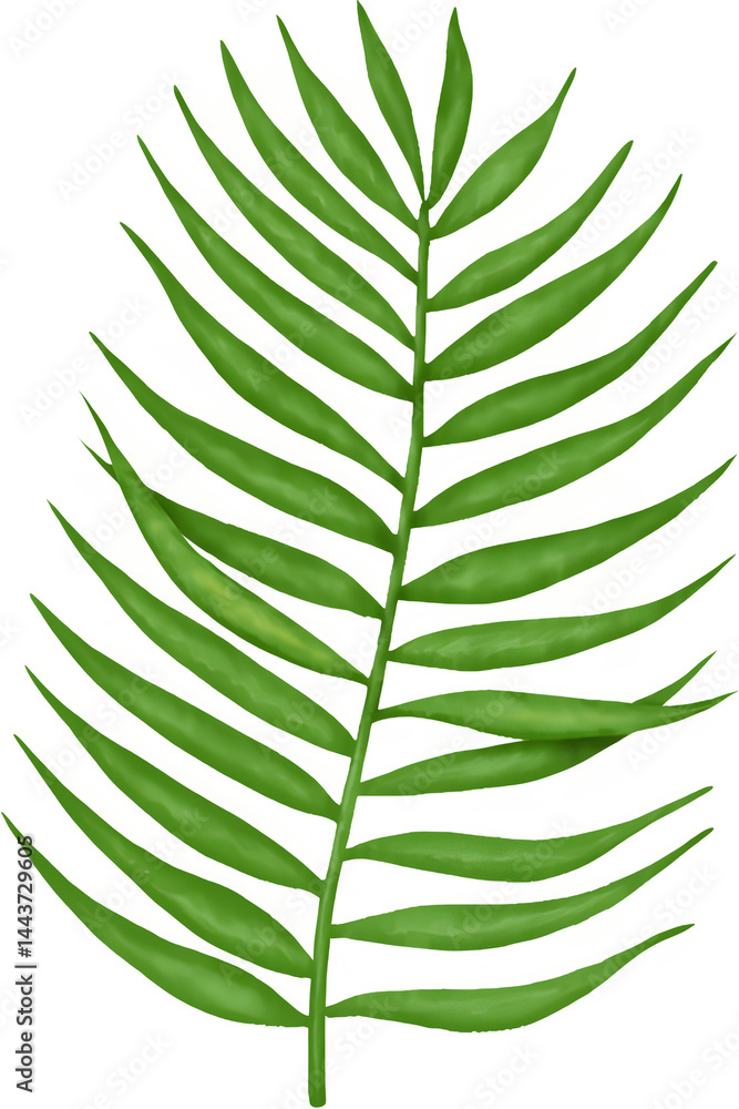 Green Palm Leaf for Tropical Summer Vibes
