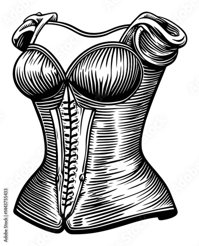 Vintage Hand-Drawn Engraving Illustration of a Corset Design