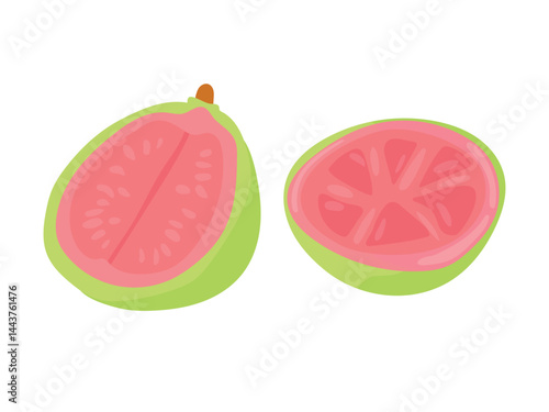Guava. Flat vector, clipart illustration isolated on white background.