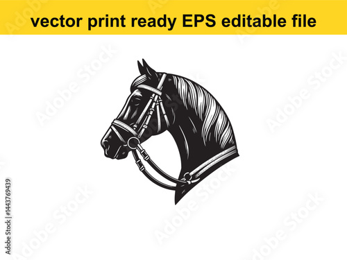 Horse bridle vector for horse