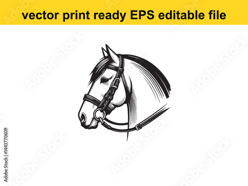 Horse bridle vector for horse