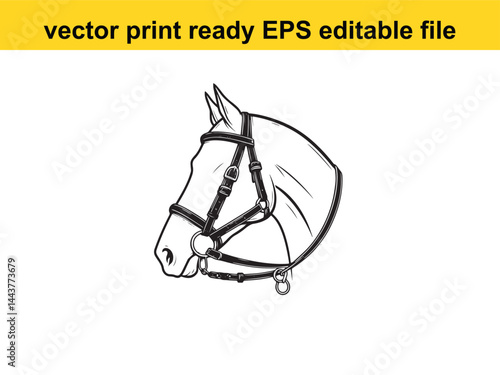 Horse bridle vector for horse