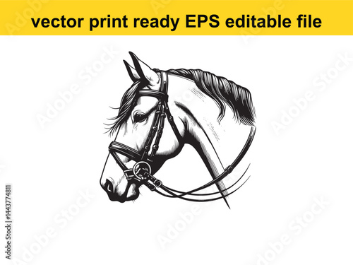 Horse bridle vector for horse