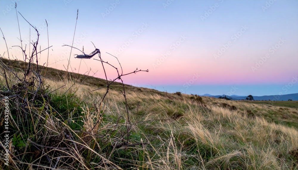 Obraz premium Windblown grass field at twilight with soft pink and blue skies and a piece of clothing tangled in a branch