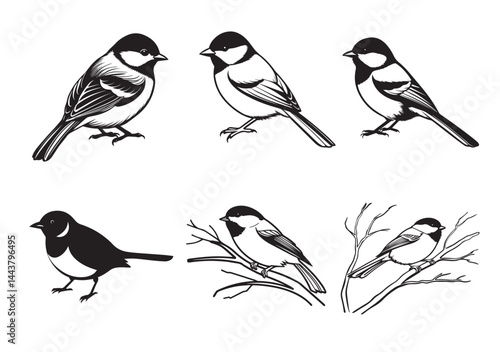 Chickadee silhouette vector Set