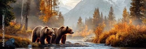 Majestic Bears Wildlife Banner Panorama for Stunning Visuals , on white