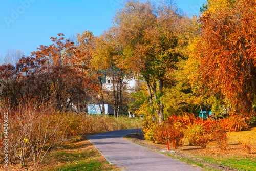 Obraz na płótnie Paved path winds through vibrant autumn park, surrounded by trees with leaves in shades of orange, yellow, and red under blue sky. In distance, a building view through colorful foliage w salonie