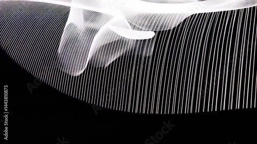 Delicate white fabric shifts and dances in fluid motions, highlighting its light texture against a deep black setting. The interplay of light and shadow creates a captivating visual experience