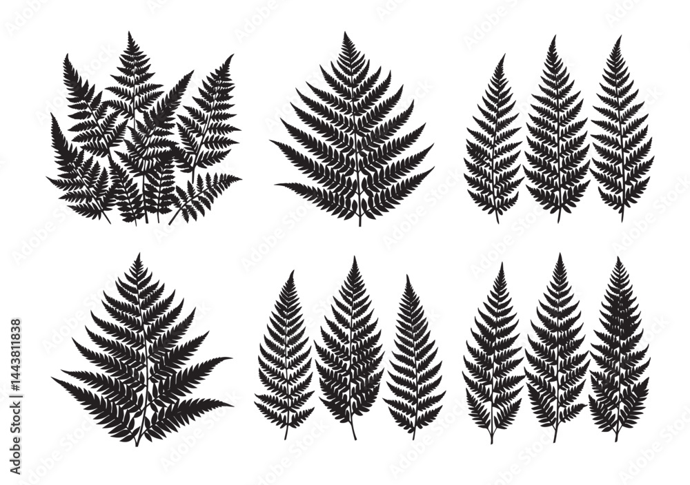 A pack of fern leaf silhouette vector Set A pack of fern leaf silhouette vector Set
