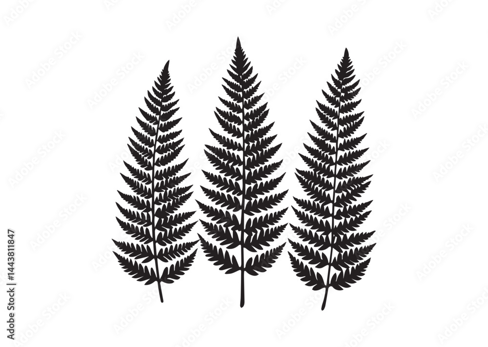 A pack of fern leaf silhouette vector A pack of fern leaf silhouette vector