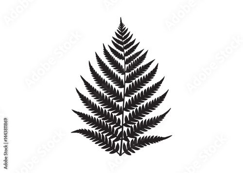 A pack of fern leaf silhouette vector